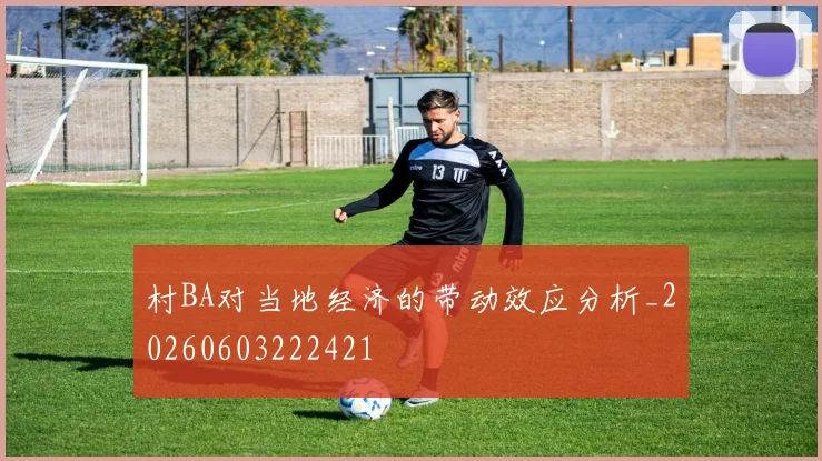 村BA对当地经济的带动效应分析_20260603222421