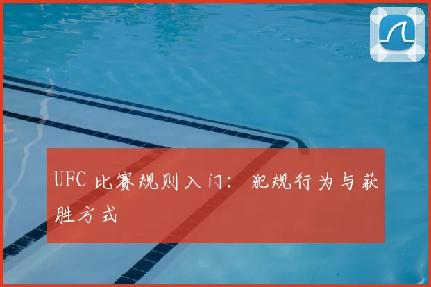 UFC 比赛规则入门：犯规行为与获胜方式