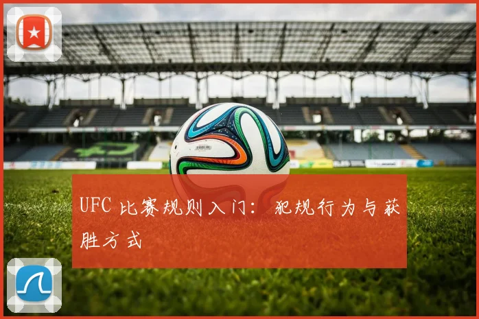 UFC 比赛规则入门:犯规行为与获胜方式